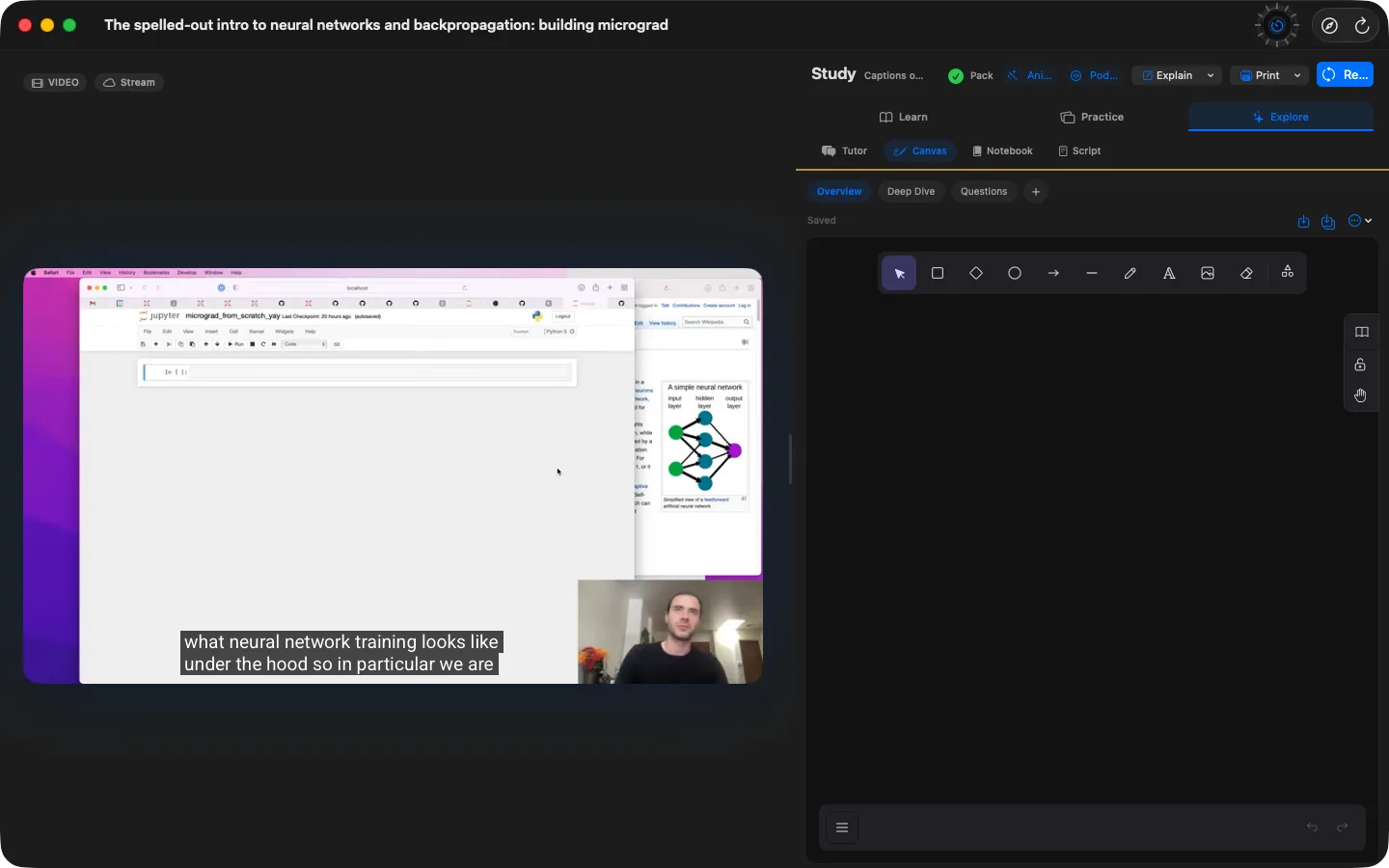 A whiteboard canvas open beside a video in Owlish