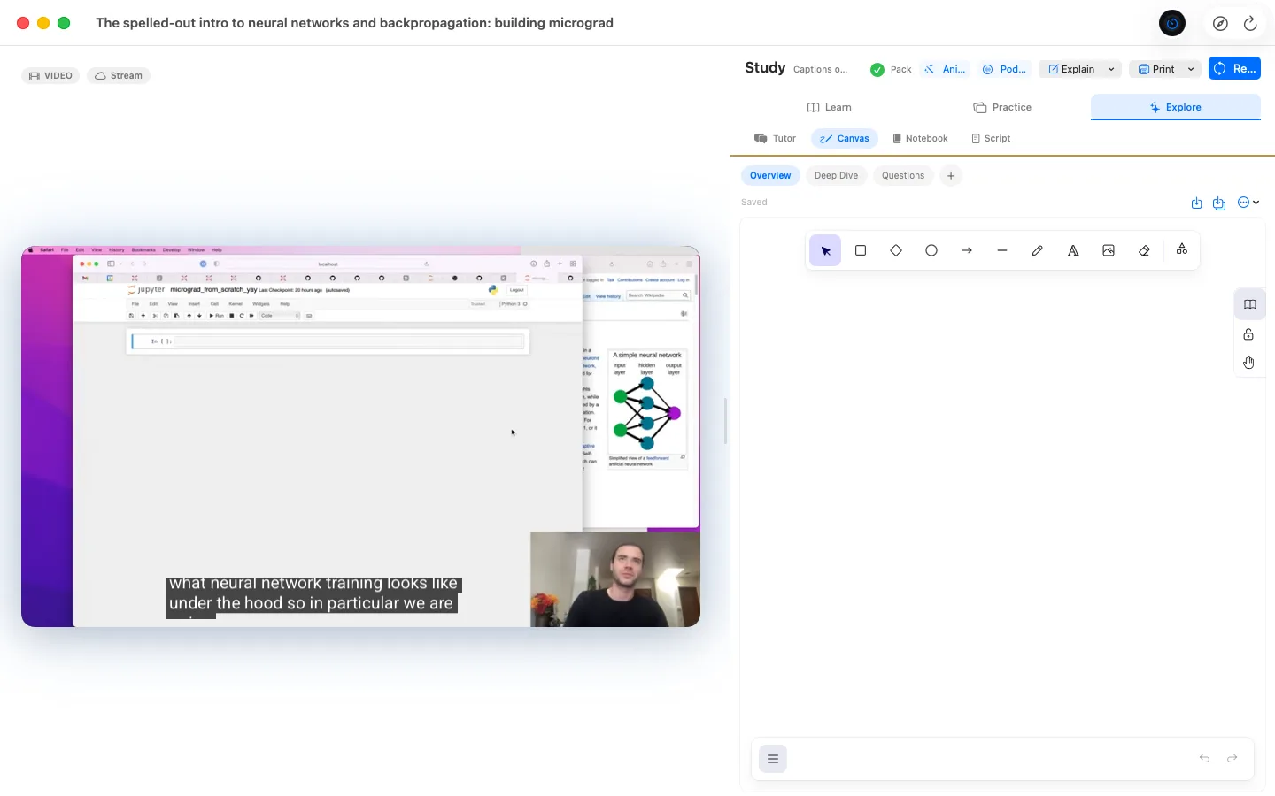 A whiteboard canvas open beside a video in Owlish